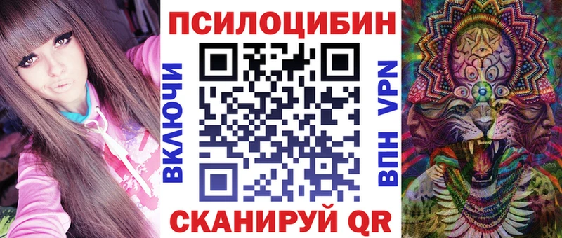 дарк нет наркотические препараты  блэк спрут зеркало  Псилоцибиновые грибы прущие грибы  Белгород  наркошоп 